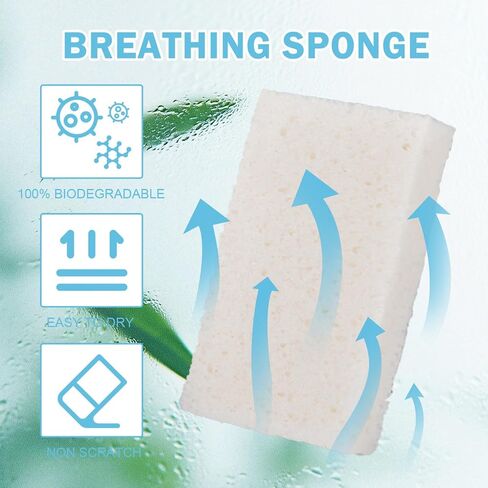 YoleShy White Sponges Kitchen 10 Pack Natural Compressed Cellulose Sponges for Dishes Non Scratch for Household Cookware Bathroom Cars Soft Super Absorbent Reusable in Kuwait