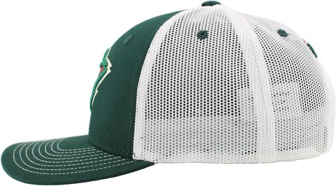 ZHATS NHL Officially Licensed Adjustable Snapback Hat Dakota Icon Team Color in Saudi Arabia