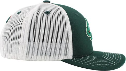 ZHATS NHL Officially Licensed Adjustable Snapback Hat Dakota Icon Team Color in Saudi Arabia