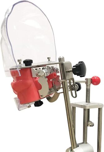 نموذج التدريس العام ، نموذج محاكاة الأسنان Manikin Phantom Head Model Dental Phantom Head With Bench Mount for Dental School in Saudi Arabia