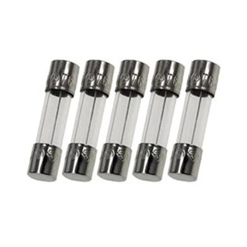 5PCS 315mA Time Delay Glass Fuse in Kuwait