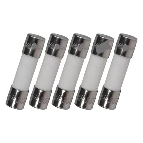 5PCS, T10A H250V, Fuse in Kuwait