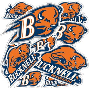 Desert Cactus Bucknell Bison Sticker Vinyl Scals Laptop Water Bottle Scrapbook T1 (Type 1-1) in Kuwait