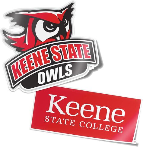 Desert Cactus Keene State College Sticker Owls KSC Vinyl Secal Lacal Mater Bottle Scrapbook (4 بوصة مجموعة V1) in Kuwait