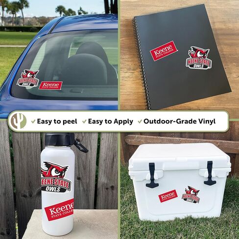 Desert Cactus Keene State College Sticker Owls KSC Vinyl Secal Lacal Mater Bottle Scrapbook (4 بوصة مجموعة V1) in Kuwait