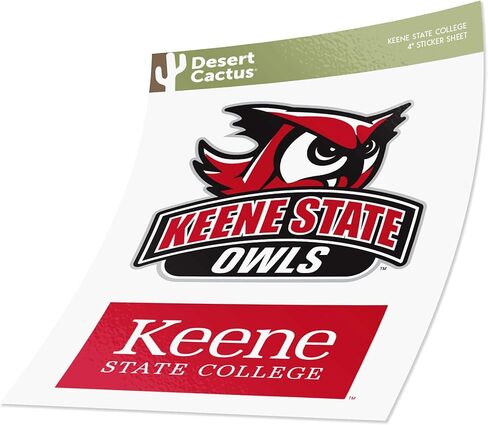 Desert Cactus Keene State College Sticker Owls KSC Vinyl Secal Lacal Mater Bottle Scrapbook (4 بوصة مجموعة V1) in Kuwait