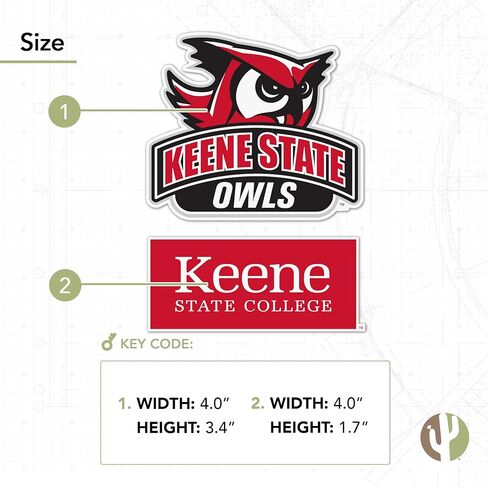 Desert Cactus Keene State College Sticker Owls KSC Vinyl Secal Lacal Mater Bottle Scrapbook (4 بوصة مجموعة V1) in Kuwait