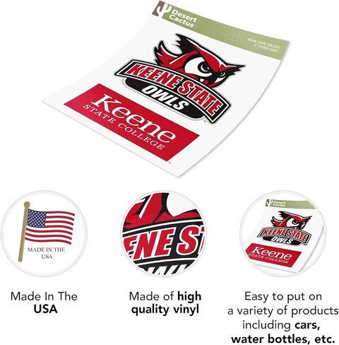 Desert Cactus Keene State College Sticker Owls KSC Vinyl Secal Lacal Mater Bottle Scrapbook (4 بوصة مجموعة V1) in Kuwait