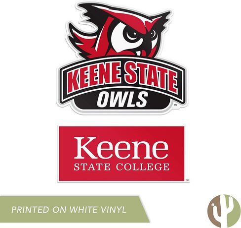 Desert Cactus Keene State College Sticker Owls KSC Vinyl Secal Lacal Mater Bottle Scrapbook (4 بوصة مجموعة V1) in Kuwait