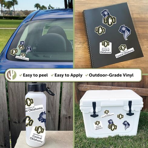 Desert Cactus University of Central Oklahoma Sticker UCO Bronchos sticker Vinyl Scals Laptop Botto Car Scrapbook T2 (Type 2) in Saudi Arabia