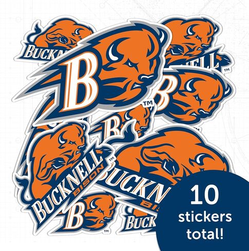 Desert Cactus Bucknell University Bison Sticker Vinyl Decals Laptop Water Bottle Car Scrapbook T1 (Type 1-1) in Saudi Arabia