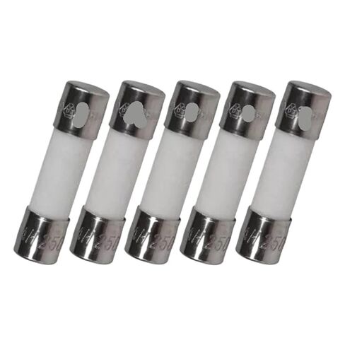 5PCS T500mA 250V, Ceramic Fuse 5X20 mm in Kuwait