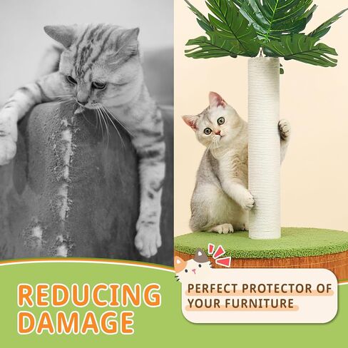 عمود خدش للقطط مقاس 81.28 سم مع شقة للقطط الداخلية للبالغين، عمود خدش طويل للقطط الكبيرة، شجرة عمود خدش القطط in Kuwait