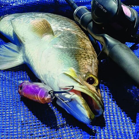 Fish Inc Fly Half 80mm Floating Popper Hardbait for Saltwater and Freshwater in Saudi Arabia