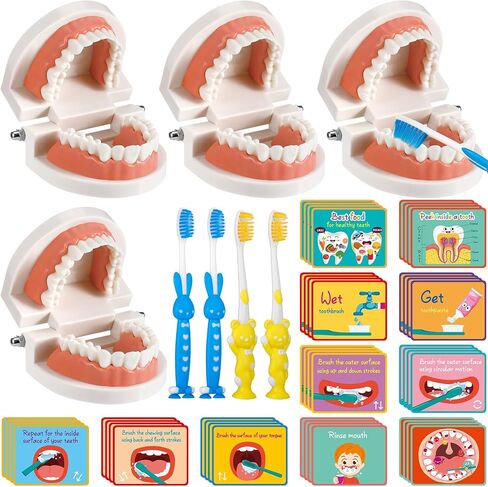 4 Set Dentist Kit for Kids Dentist Play Set Dental Teeth Model with Toothbrush Child Dental Educational Card Standard Size Fake Brace Demonstration Teaching for Children Student in Saudi Arabia