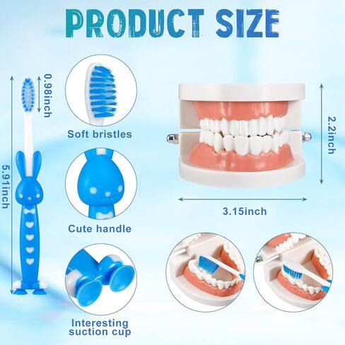 4 Set Dentist Kit for Kids Dentist Play Set Dental Teeth Model with Toothbrush Child Dental Educational Card Standard Size Fake Brace Demonstration Teaching for Children Student in Saudi Arabia