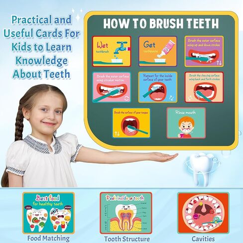 4 Set Dentist Kit for Kids Dentist Play Set Dental Teeth Model with Toothbrush Child Dental Educational Card Standard Size Fake Brace Demonstration Teaching for Children Student in Saudi Arabia