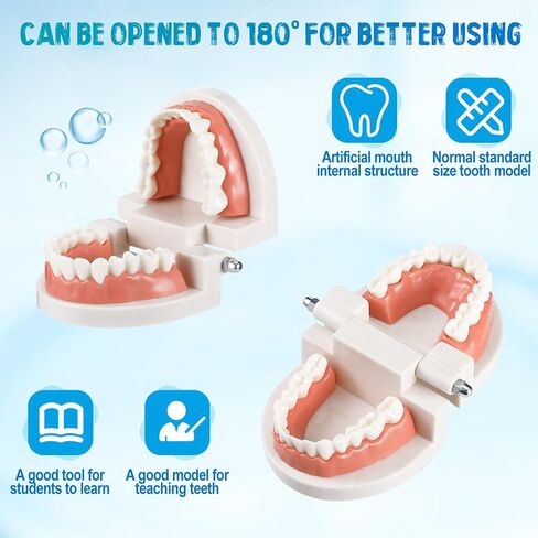 4 Set Dentist Kit for Kids Dentist Play Set Dental Teeth Model with Toothbrush Child Dental Educational Card Standard Size Fake Brace Demonstration Teaching for Children Student in Saudi Arabia
