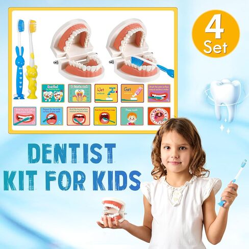 4 Set Dentist Kit for Kids Dentist Play Set Dental Teeth Model with Toothbrush Child Dental Educational Card Standard Size Fake Brace Demonstration Teaching for Children Student in Saudi Arabia