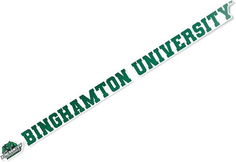 Desert Cactus Binghamton University Bearcats Name Logo Vinyl Decal Laptop Water Bottle Car Scrapbook (15 Inch Sticker) in Saudi Arabia