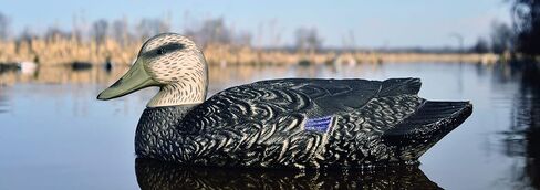 Higdon Outdoors Battleship Black Duck Decoys, Foam-Filled in Saudi Arabia