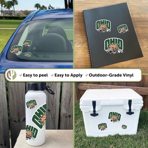 Desert Cactus Ohio University Sticker Bobcats Vinyl Decals Laptop Water Bottle Car Scrapbook 13.43x10.98 Sheet T3 (Type 3-1) in Saudi Arabia
