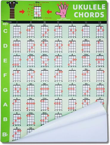 wuxic Ultimate Guitar Chord Chart Poster - PVC Wall Sticker (30x40cm) Waterproof & Tear-Resistant for Acoustic/Classic/Electric Guitar, Beginner-Friendly with Adhesive Backing in Kuwait