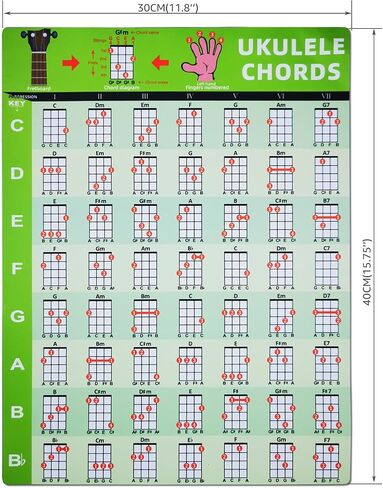 wuxic Ultimate Guitar Chord Chart Poster - PVC Wall Sticker (30x40cm) Waterproof & Tear-Resistant for Acoustic/Classic/Electric Guitar, Beginner-Friendly with Adhesive Backing in Kuwait