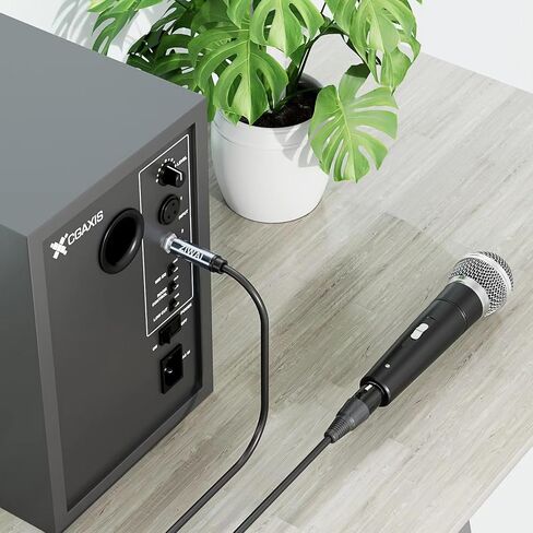 XLR to 6.35mm (1/4 Inch) TRS Cable Female to Male (1/4 to XLR Cable, XLR to 1/4 Cable, XLR to TRS Cable) ﻿ (1, 10Feet) in Saudi Arabia
