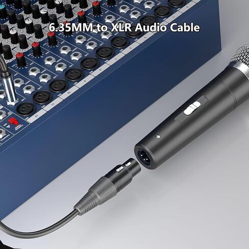 XLR to 6.35mm (1/4 Inch) TRS Cable Female to Male (1/4 to XLR Cable, XLR to 1/4 Cable, XLR to TRS Cable) ﻿ (1, 10Feet) in Saudi Arabia