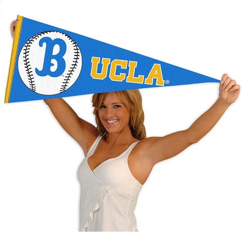 Bruins Baseball Pennant Full Size in Saudi Arabia