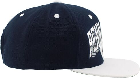 Zhats Standard NCAA مرخص رسميًا Hat Flat Snapback Z11 Retro Blockbuster ، Color Team ، حجم واحد in Saudi Arabia