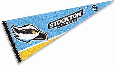 Stockton Ospreys Wordmark Logo Flag in Kuwait
