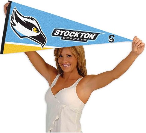 Stockton Ospreys Wordmark Logo Flag in Kuwait