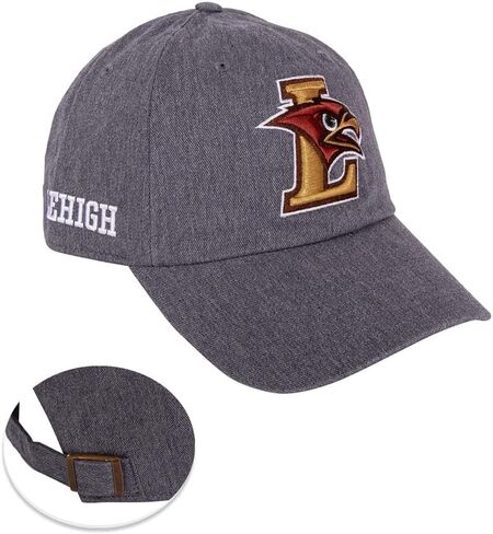 Desert Cactus Lehigh Baseball Hat Hat Mountain Hawks تم تطريزها قبعات قابلة للتعديل قابلة للتعديل in Saudi Arabia