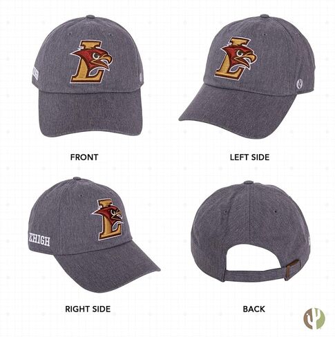 Desert Cactus Lehigh Baseball Hat Hat Mountain Hawks تم تطريزها قبعات قابلة للتعديل قابلة للتعديل in Saudi Arabia