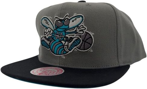 Mitchell & Ness Charlotte Hornets NBA Storm Front HWC Snapback Hat Cap Gray/Black in Kuwait