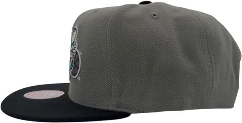 Mitchell & Ness Charlotte Hornets NBA Storm Front HWC Snapback Hat Cap Gray/Black in Kuwait