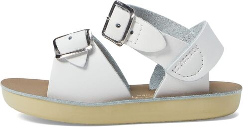 صنادل المياه المالحة من Hoy Shoes Surfer Hook & Loop (طفل صغير/طفل صغير) أبيض 8 طفل صغير M in Kuwait