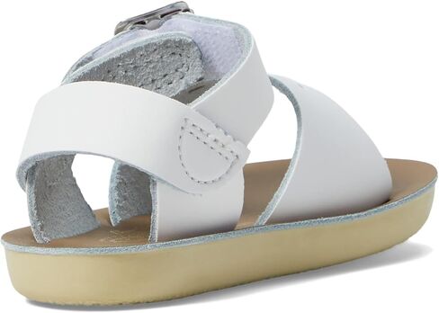 صنادل المياه المالحة من Hoy Shoes Surfer Hook & Loop (طفل صغير/طفل صغير) أبيض 8 طفل صغير M in Kuwait