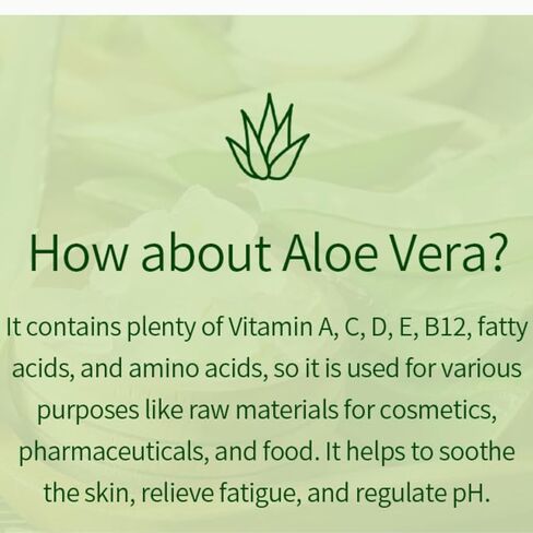 VENAMINE Korean Aloe Vera Soothing & Moisture Gel 100% For Face And Body 300ml in Saudi Arabia