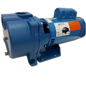 GOULDS PUMPS GT20 IRRI-Gator Self-Priming Single Phase Centrifugal Pump, 2 hp, Blue