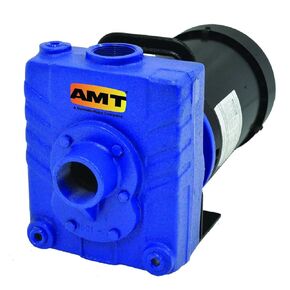 AMT Pump 2821-95 Self-Priming Centrifugal Pump, Cast Iron, 1-1/2 HP, 1 Phase, 115/230V, Curve C, 1-1/2" NPT Female Suction & Discharge Ports