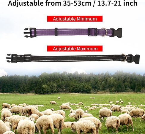 5 قطع من أطواق الماعز مع جرس، مجموعة أطواق نايلون عاكسة وقابلة للتعديل، طوق الأغنام مع جرس، أجراس نحاسية مضادة لفقدان الحيوانات الأليفة لحيوانات المزرعة الصغيرة، الأغنام، البقرة والحيوانات الأليفة، الماعز in Kuwait