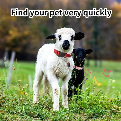 5 قطع من أطواق الماعز مع جرس، مجموعة أطواق نايلون عاكسة وقابلة للتعديل، طوق الأغنام مع جرس، أجراس نحاسية مضادة لفقدان الحيوانات الأليفة لحيوانات المزرعة الصغيرة، الأغنام، البقرة والحيوانات الأليفة، الماعز in Kuwait