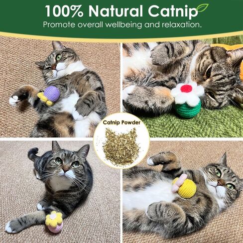 Cat Toys Balls Include Catnip, Catnip Toys for Cats, Interactive Kitten Toys Chasing Cat Balls Playful, Cat Nip Cat Toys, Cat Toys for Indoor Cats, Increase Your Interaction with Cats（4PCS） in Kuwait