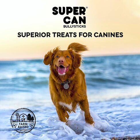 SUPER CAN BULLYSTICKS Natural Half Pig Ears for Dogs (15 Count) - 100% Natural Pork Ear - Dog Chews for Medium-Large Dogs Easily Digestible Dog Snack in Saudi Arabia
