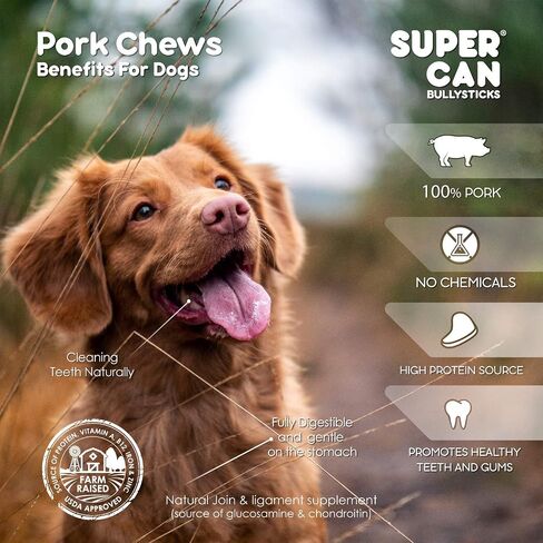 SUPER CAN BULLYSTICKS Natural Half Pig Ears for Dogs (15 Count) - 100% Natural Pork Ear - Dog Chews for Medium-Large Dogs Easily Digestible Dog Snack in Saudi Arabia