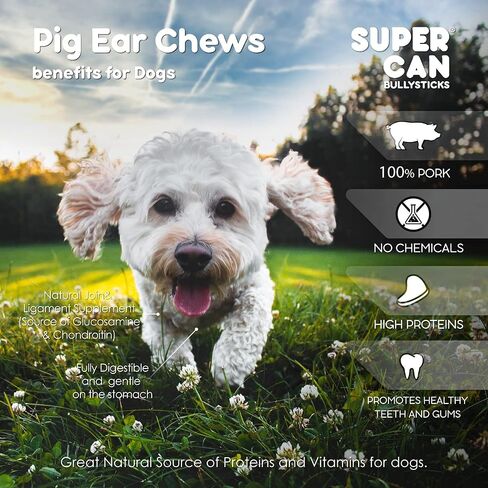 SUPER CAN BULLYSTICKS Natural Half Pig Ears for Dogs (15 Count) - 100% Natural Pork Ear - Dog Chews for Medium-Large Dogs Easily Digestible Dog Snack in Saudi Arabia