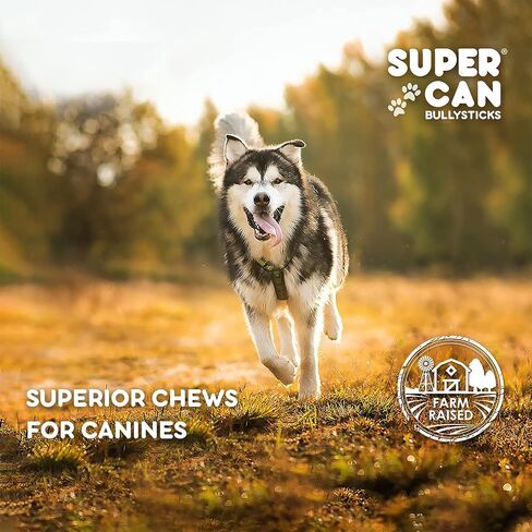 SUPER CAN BULLYSTICKS Natural Half Pig Ears for Dogs (15 Count) - 100% Natural Pork Ear - Dog Chews for Medium-Large Dogs Easily Digestible Dog Snack in Saudi Arabia
